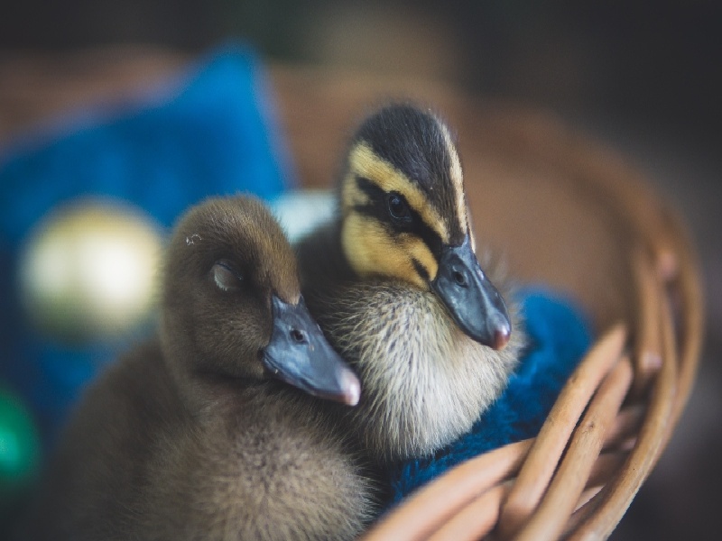 深圳罗湖试管香水(试管不能搅拌吗)